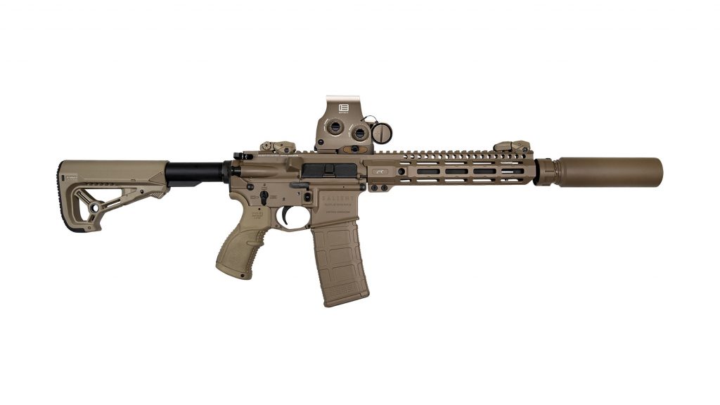 Salient Rifleworks Select Fire Rifles